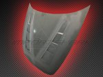Gemini-AR STG hood (1)is.jpg
