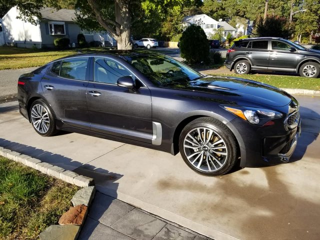 stinger1.jpg