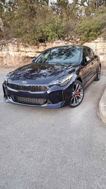 Stinger 11.jpg