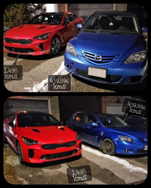 PhotoGrid_1640295767405.jpg